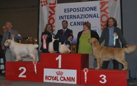Kuma Verona